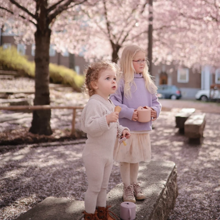 cherry_blossom2-16_b598bf48-d424-40dd-848c-3d36fbcf5509.webp
