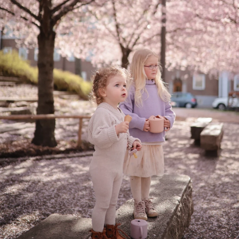 cherry_blossom2-16_b598bf48-d424-40dd-848c-3d36fbcf5509.webp