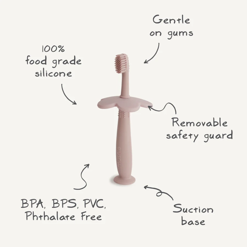 training-toothbrush-flower-info.webp