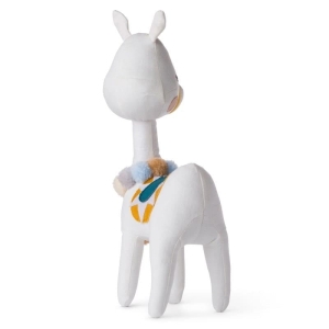 lama5.jpg