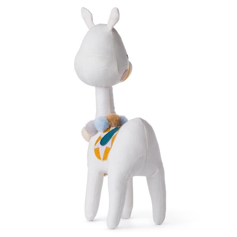 lama5.jpg