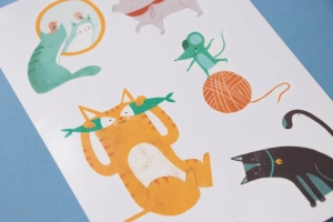 kotki3.webp